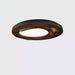 Sky Lake Ceiling Lamp-DWHOME