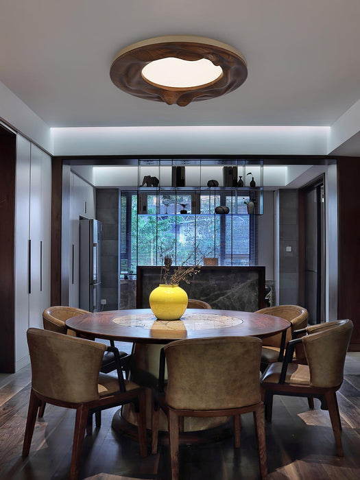 Sky Lake Ceiling Lamp-DWHOME