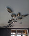 Skydro Ceiling Lamp-DWHOME
