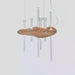 Skyward Thorn Chandelier - DWHOME