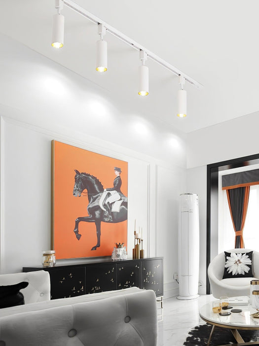 Sleek Cylinder Track Light-DWHOME