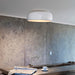 Smithfield Ceiling Light-DWHOME