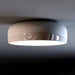 Smithfield Ceiling Light-DWHOME