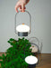 Soft Spot Portable Built-in Battery Table Lamp - DWHOME