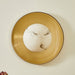 Solara Cloud Wall Light-DWHOME