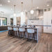 Somerset Pendant Light-DWHOME