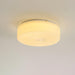 Souffle Ceiling Lamp-DWHOME
