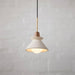 Space Pendant Lamp-DWHOME