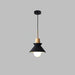 Space Pendant Lamp-DWHOME