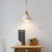 Space Pendant Lamp-DWHOME