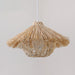 Straw Hat Pendant Light-DWHOME