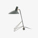 Svelte Noir Table Lamp - DWHOME