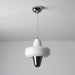 Swan Pendant Lamp - DWHOME