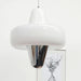 Swan Pendant Lamp - DWHOME