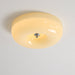 Swirl Glass Ceiling Lamp-DWHOME