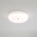 Swirl Glass Ceiling Lamp-DWHOME