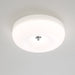 Swirl Glass Ceiling Lamp-DWHOME