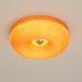Swirl Glass Ceiling Lamp-DWHOME