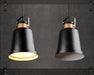 Newman Black Dome Industrial Loft Pendant Light - DWHOME