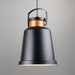Newman Black Dome Industrial Loft Pendant Light - DWHOME