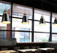 Newman Black Dome Industrial Loft Pendant Light - DWHOME