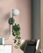 Ritz Single Head Pot Plant Wall Light - DWHOME