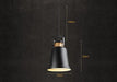 Newman Black Dome Industrial Loft Pendant Light - DWHOME