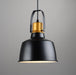 Newman Black Dome Industrial Loft Pendant Light - DWHOME