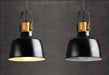 Newman Black Dome Industrial Loft Pendant Light - DWHOME
