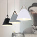 Leather Strap Suspension Minimalist Pendant Light - DWHOME