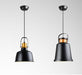 Newman Black Dome Industrial Loft Pendant Light - DWHOME