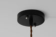 Petunia Glass Mid Century Brass Pendant Light - DWHOME