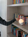 Lampe de table à emporter - DWHOME