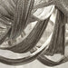 Tassel Aluminum Chain Ceiling Light - DWHOME