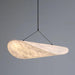 Tense Pendant Swag Light - DWHOME