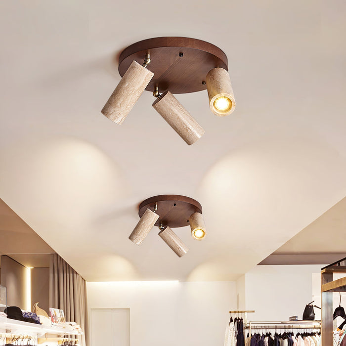 Terra Beam Ceiling Light-DWHOME