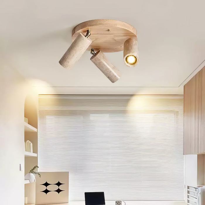 Terra Beam Ceiling Light-DWHOME