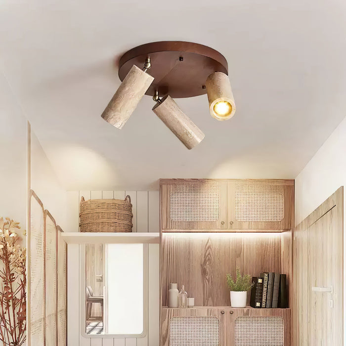 Terra Beam Ceiling Light-DWHOME