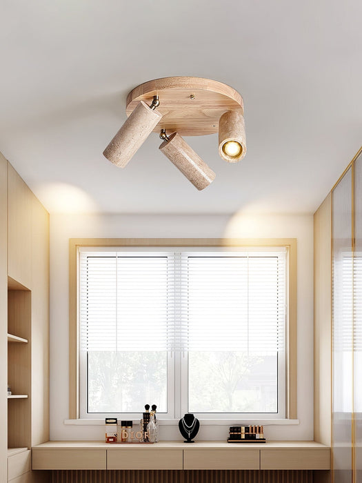 Terra Beam Ceiling Light-DWHOME