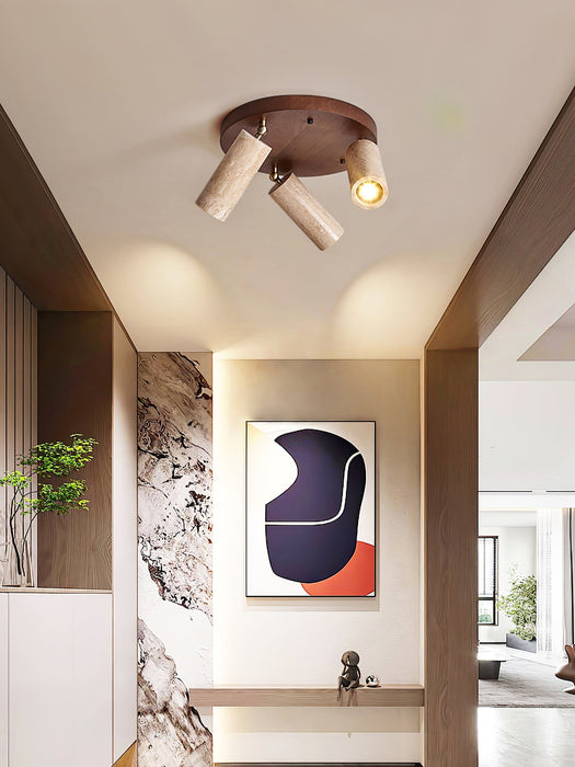 Terra Beam Ceiling Light-DWHOME
