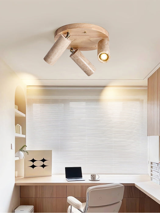 Terra Beam Ceiling Light-DWHOME