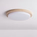 Terra Round Ceiling Light-DWHOME