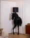 Tete Horse Floor Lamp-DWHOME