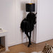 Tete Horse Floor Lamp-DWHOME