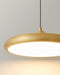 Thin Disc Pendant Lamp-DWHOME
