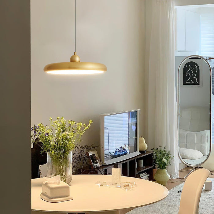 Thin Disc Pendant Lamp-DWHOME