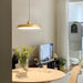 Thin Disc Pendant Lamp-DWHOME