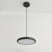 Thin Disc Pendant Lamp-DWHOME