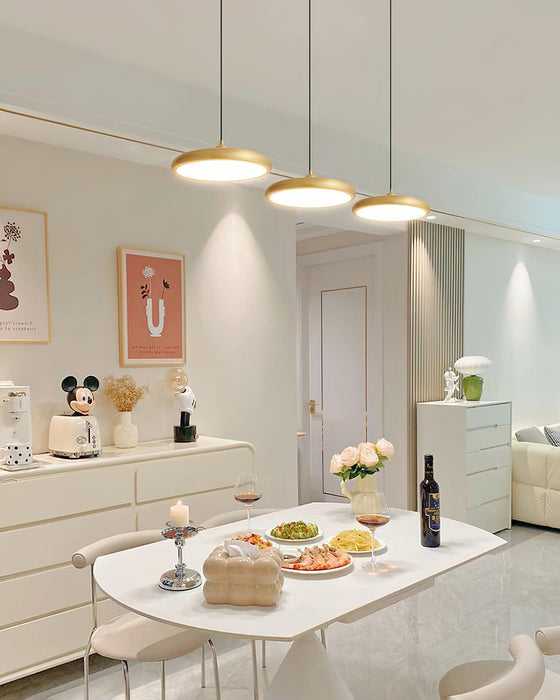 Thin Disc Pendant Lamp-DWHOME