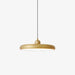 Thin Disc Pendant Lamp-DWHOME